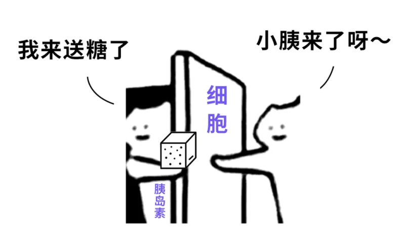 一个阻止你变瘦的原因 很多人都不知道