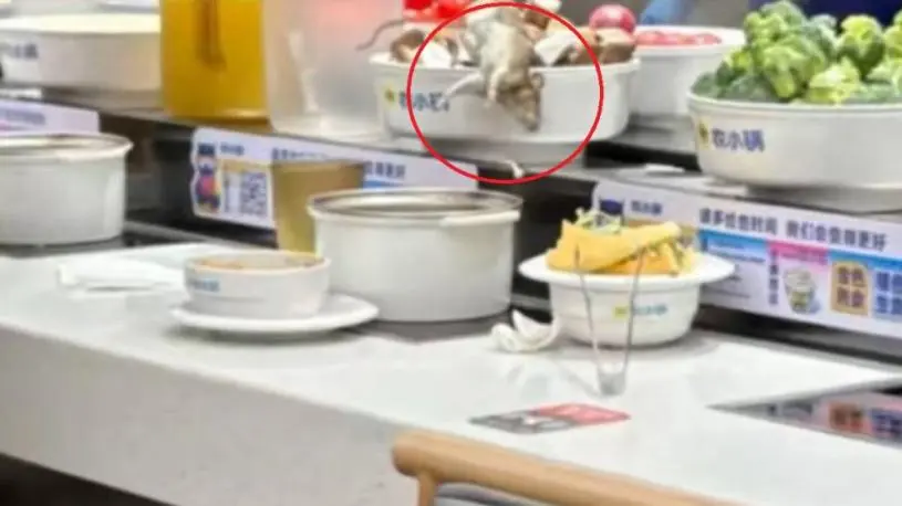 上海自助火锅店  天降老鼠跌入菜盘