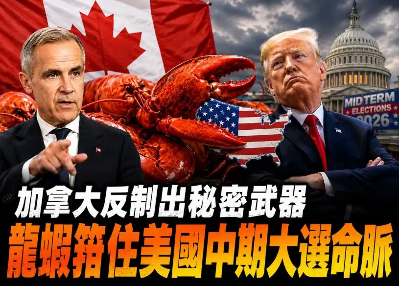 加拿大反制出秘密武器　龙虾箝住美国中期大选命脉