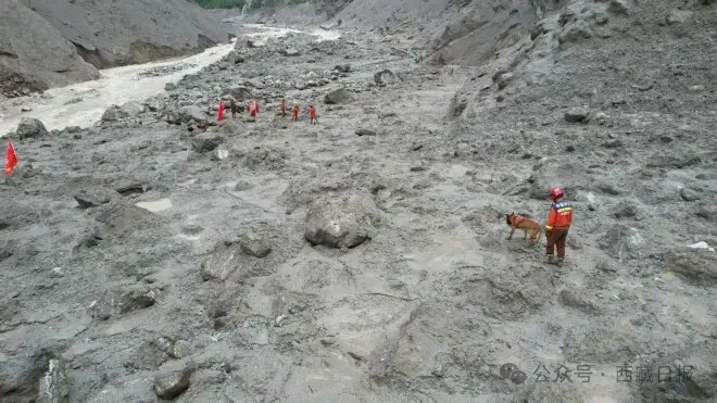 痛心！吉隆口岸建筑只剩钢筋骨架.....