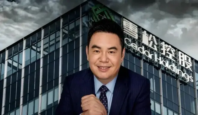 千亿帝国崩塌，又一个许家印！他的结局令人唏嘘