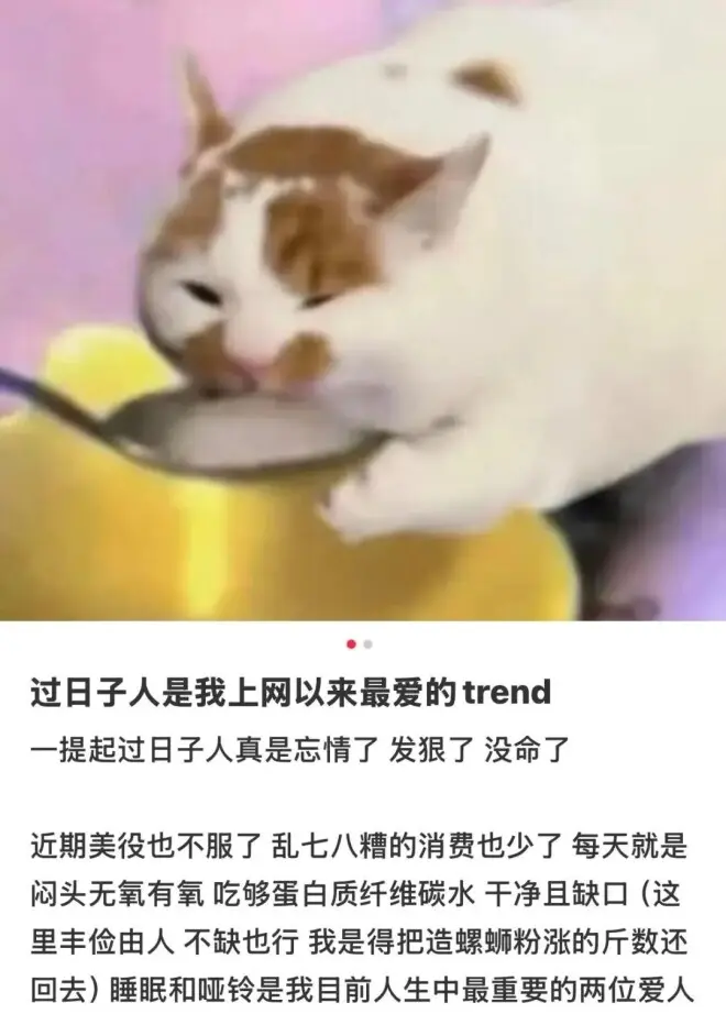北上广中产最终归宿：纯过日子人