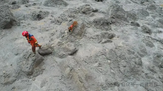 痛心！吉隆口岸建筑只剩钢筋骨架.....