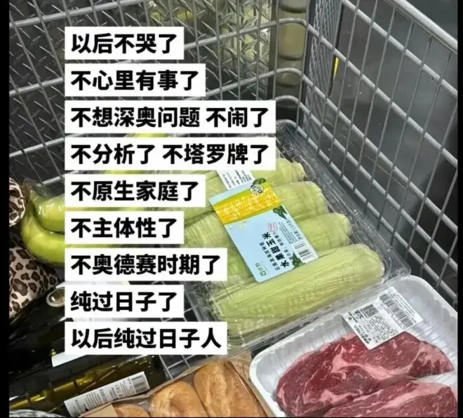北上广中产最终归宿：纯过日子人
