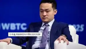 孙宇晨,特朗普丢向中国的定时炸弹?