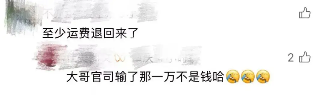 深圳女子45万元限量款爱马仕包寄到纽约，被美国海关查扣，法院：运输公司退还运费660元，赔偿500元