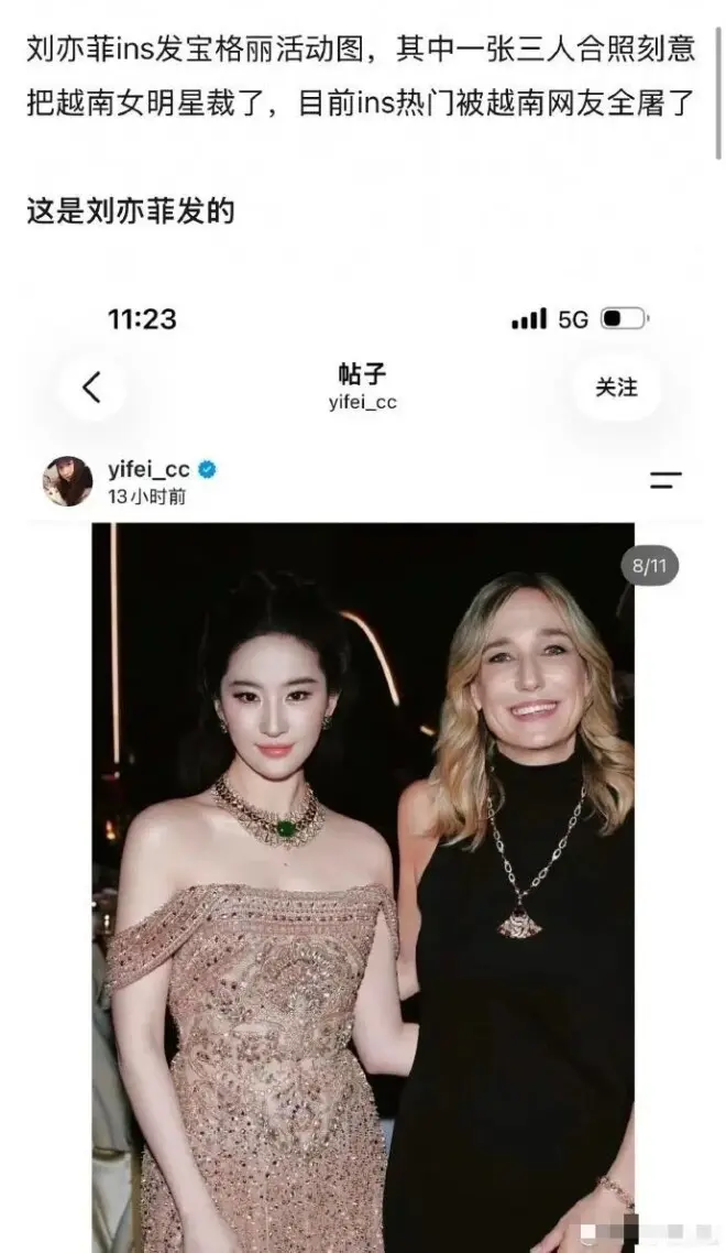 刘亦菲发合照裁掉越南女星 越南网友炸锅