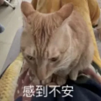 没申请也给你发录取通知书?美国大学,已经不要体面了