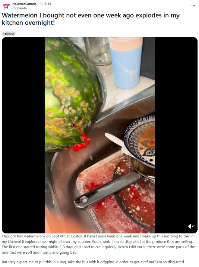 太离谱！Costco买的西瓜半夜突然“爆炸”，不到一周两个全坏