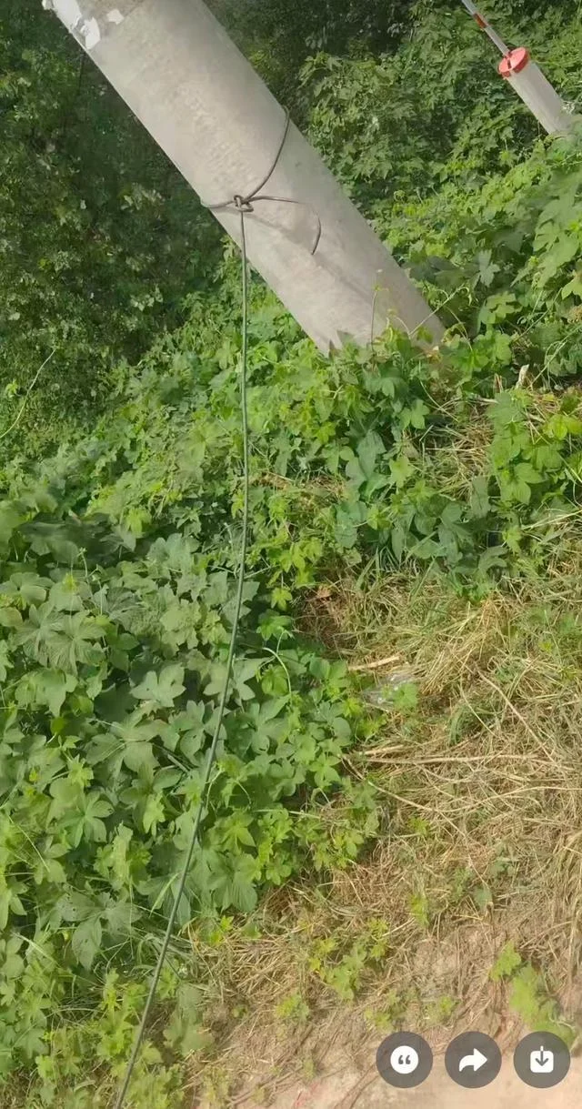 好心却酿悲剧:商砼车司机一根提醒绳 竟导致女子被勒颈身亡