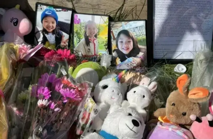 素里“台湾村”张姓女童遭车撞亡    涉肇逃司机面临12项指控