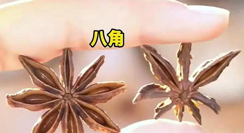 浙江女买八角数出13个角 一查竟是剧毒莽草 误食恐致命