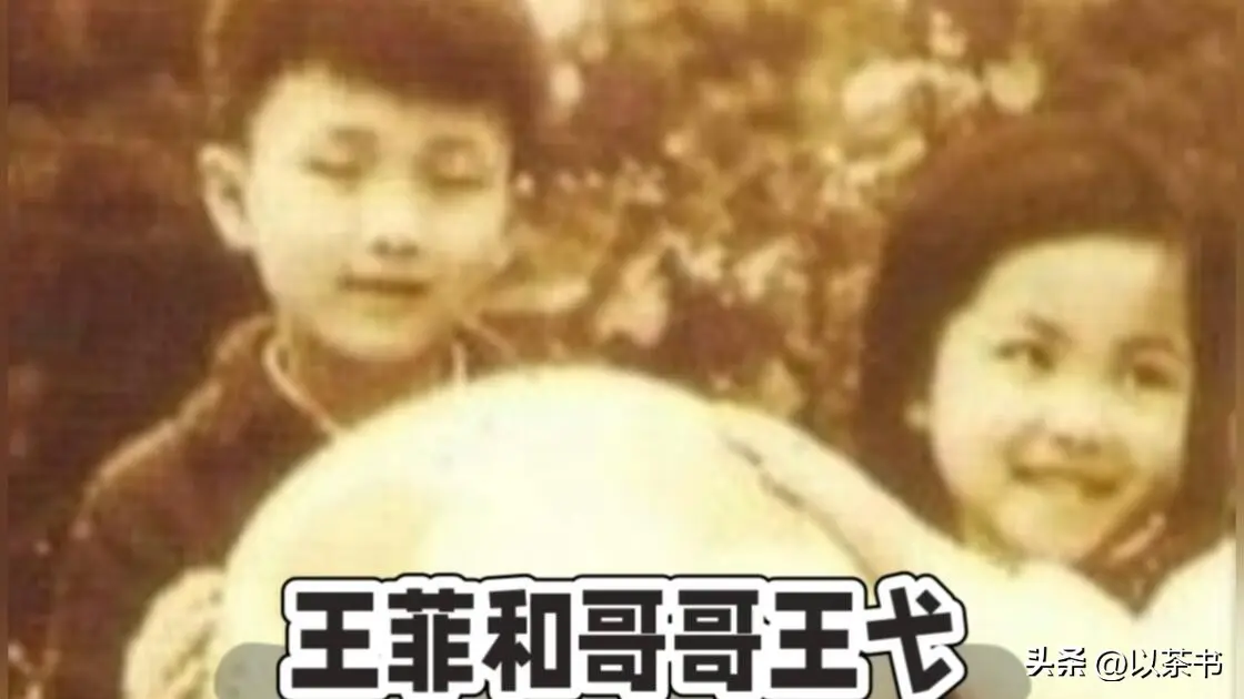 原来他就是王菲哥哥，已去世8年，一生未婚无子嗣，经商屡遭被骗