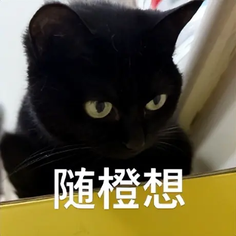 谷歌RSI论文：AI自进化，做梦吧！