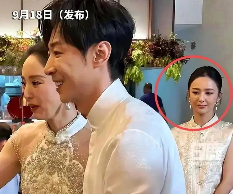 “不上不下的笑容” 佟丽娅首回应在董璇婚礼上那个表情