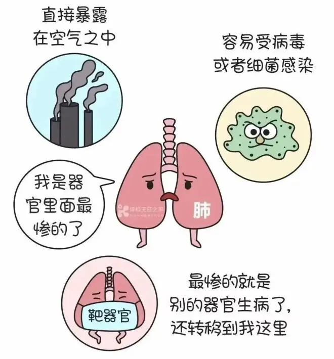 钟南山团队：73%肺癌病例来自“非高危人群”