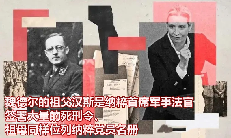普京和魏德尔约好 她拿下德国总理之日 俄德化敌为友之时?