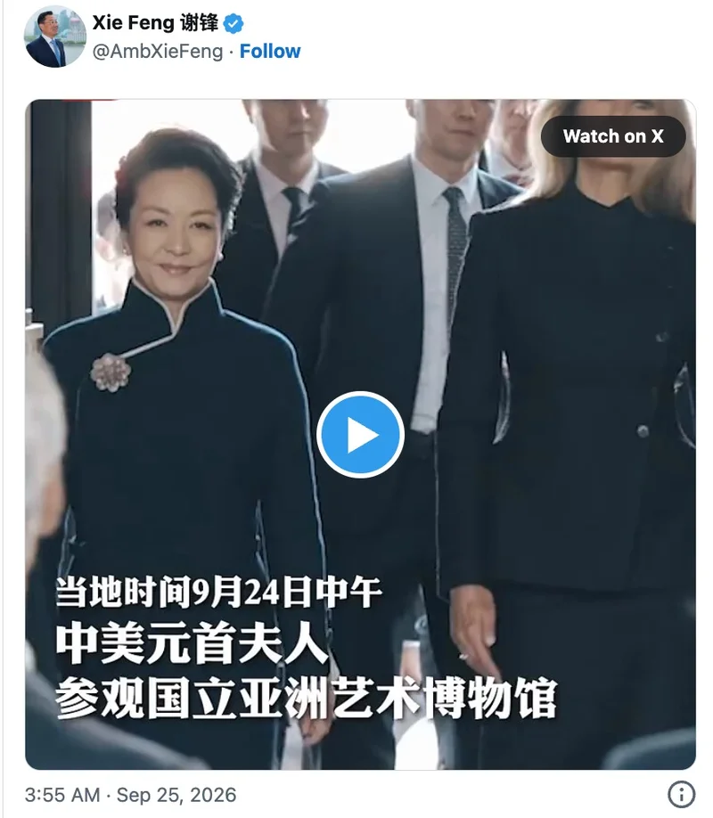 外媒:中国第一夫人彭丽媛在华府展示个人魅力