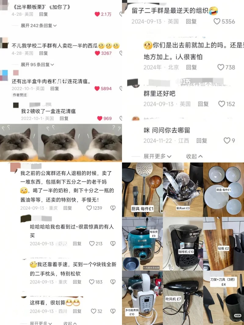 十年前的留学生有多富,现在的留学生就有多穷