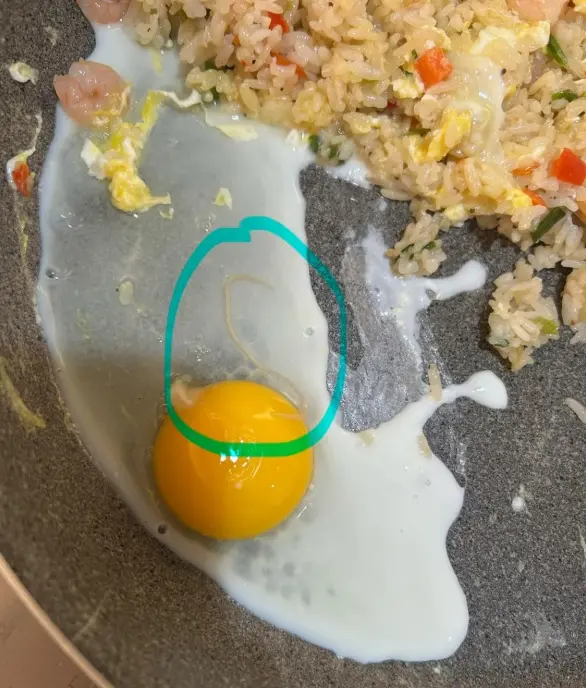 加拿大Costco鸡蛋发现寄生虫? 这锅蛋炒饭还能吃么? 大批网友破防!
