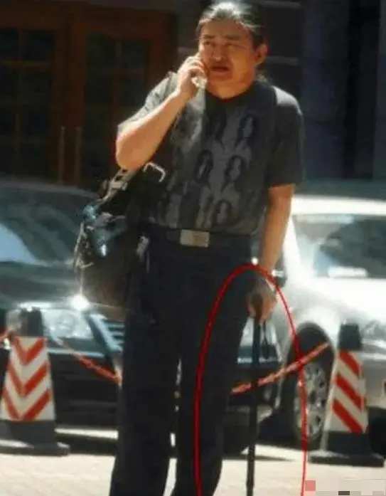 刘欢女婿长相帅气,履历优秀,难怪能娶到刘一丝