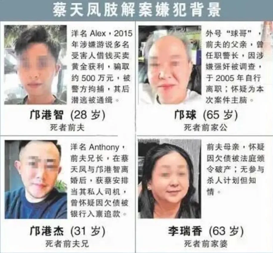 分尸放锅里煮 蔡天凤准备卖掉6000万豪宅 前夫起杀心 提前买好削肉机