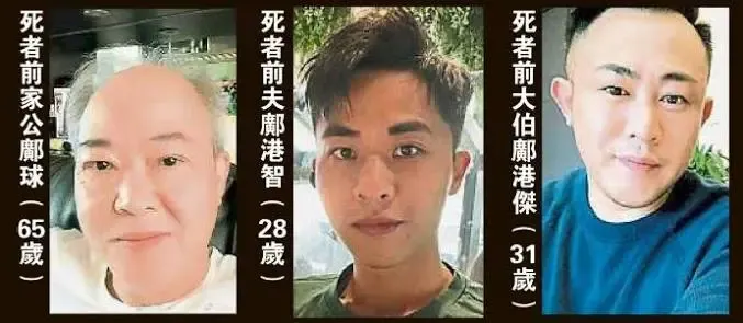 分尸放锅里煮 蔡天凤准备卖掉6000万豪宅 前夫起杀心 提前买好削肉机