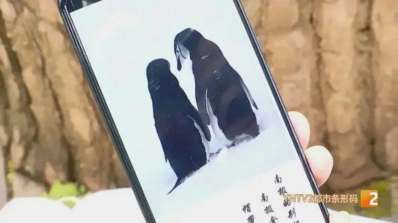 云南妇退休前罹癌 花光15万积蓄游南极 回来后出现变化
