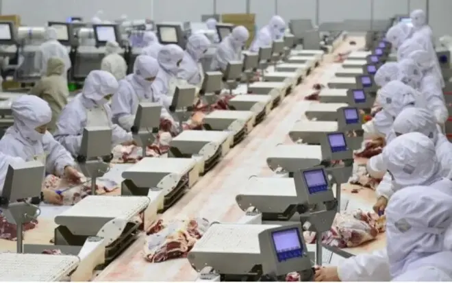 中国人的牛肉，为什么又不“自由”了？