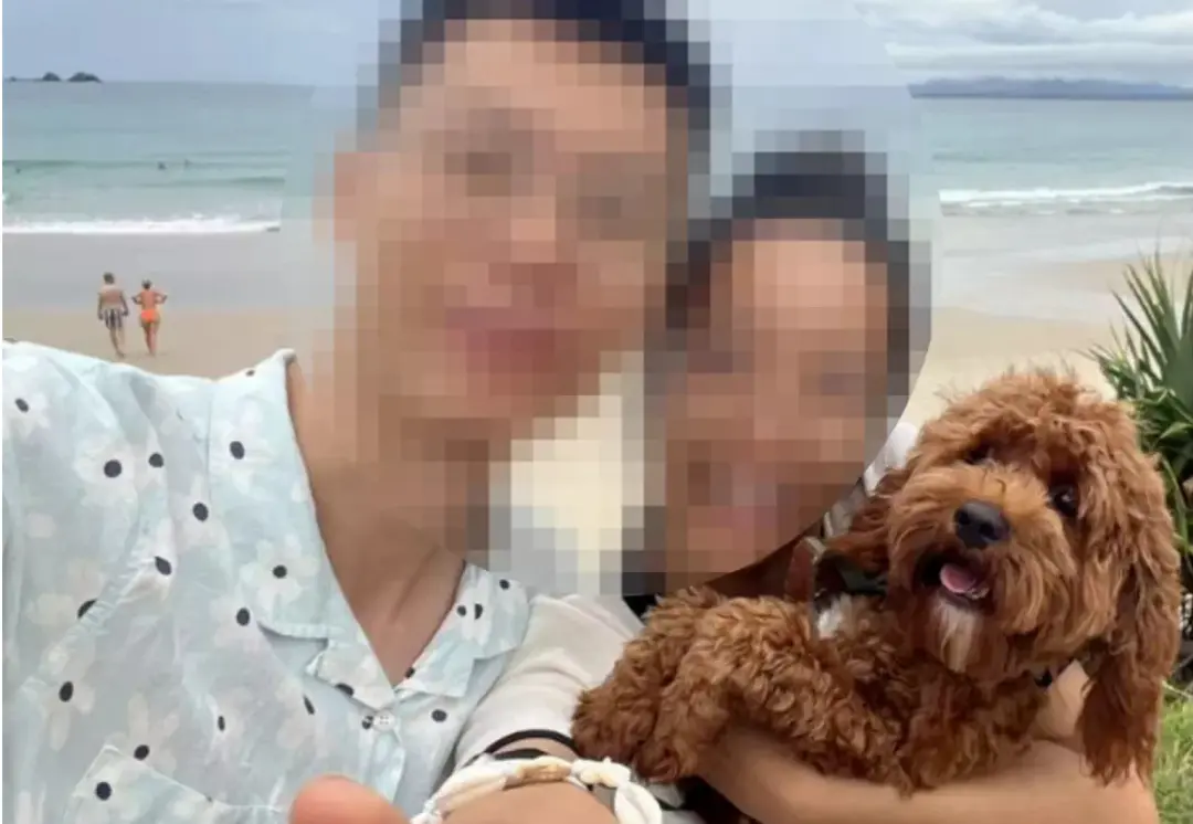 刚拿到PR，中国夫妇与14岁女孩高速遇车祸3人死亡