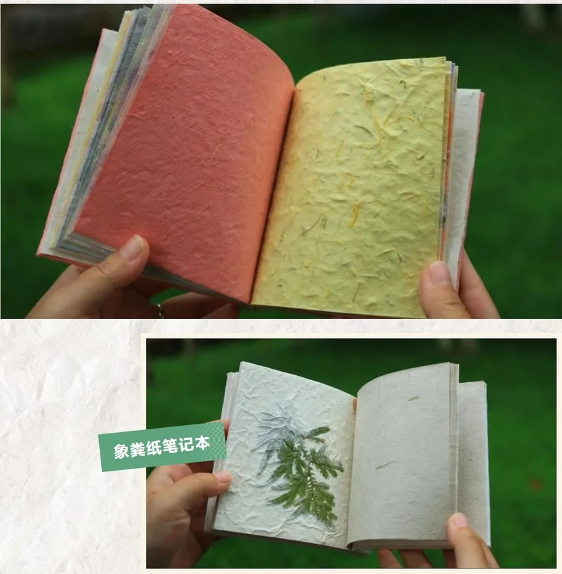 西双版纳野象谷卖象粪笔记本,无臭味