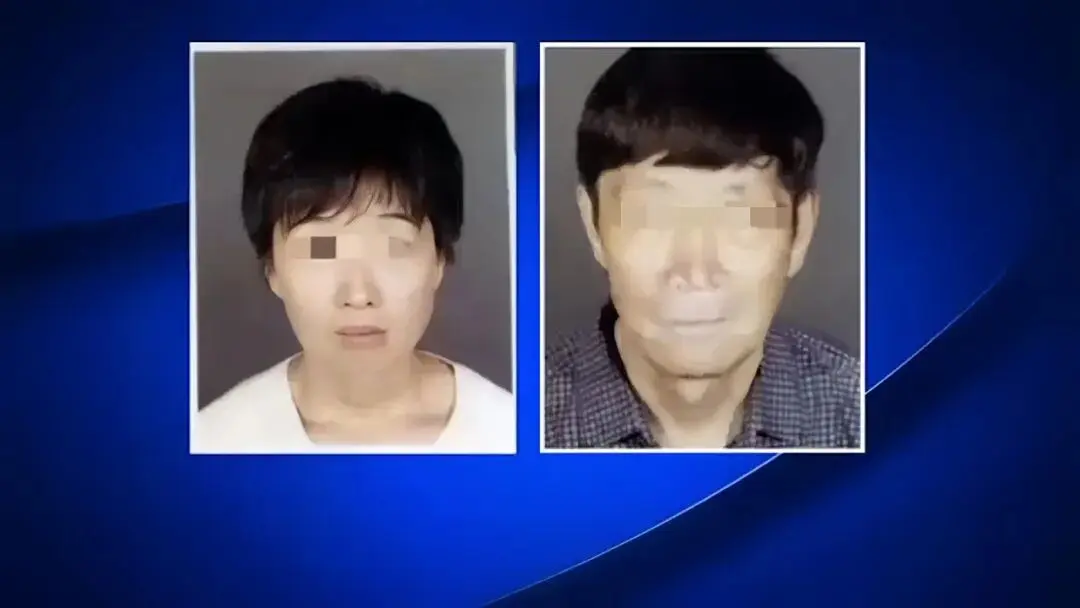 华人富豪代孕生20多个孩子却被“充公”？律师：他只想多生孩子为社会做贡献