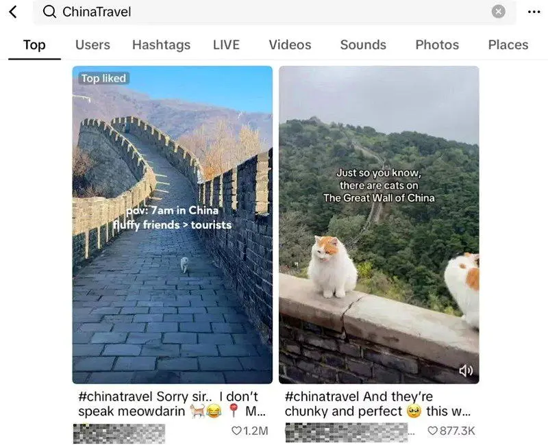 长城小白猫走红全球，外国网友求偶遇