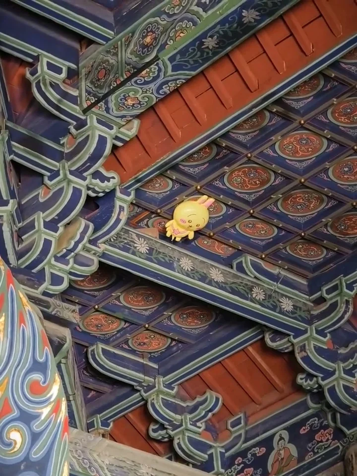 游客参观华严寺总感觉“被盯上” 抬头竟发现这东西