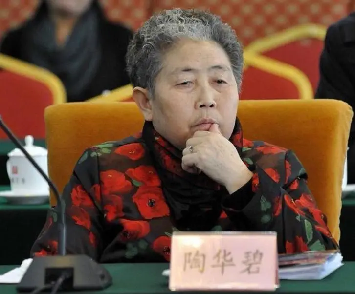 靠AI重回营收巅峰！79岁的老干妈已放弃退休？