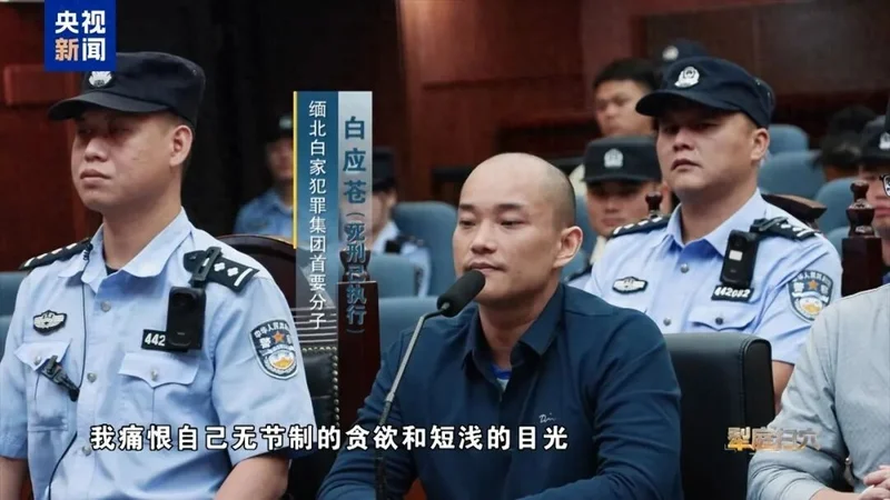缅北电诈集团地下建靶场 拿中国“猪仔”当活人靶