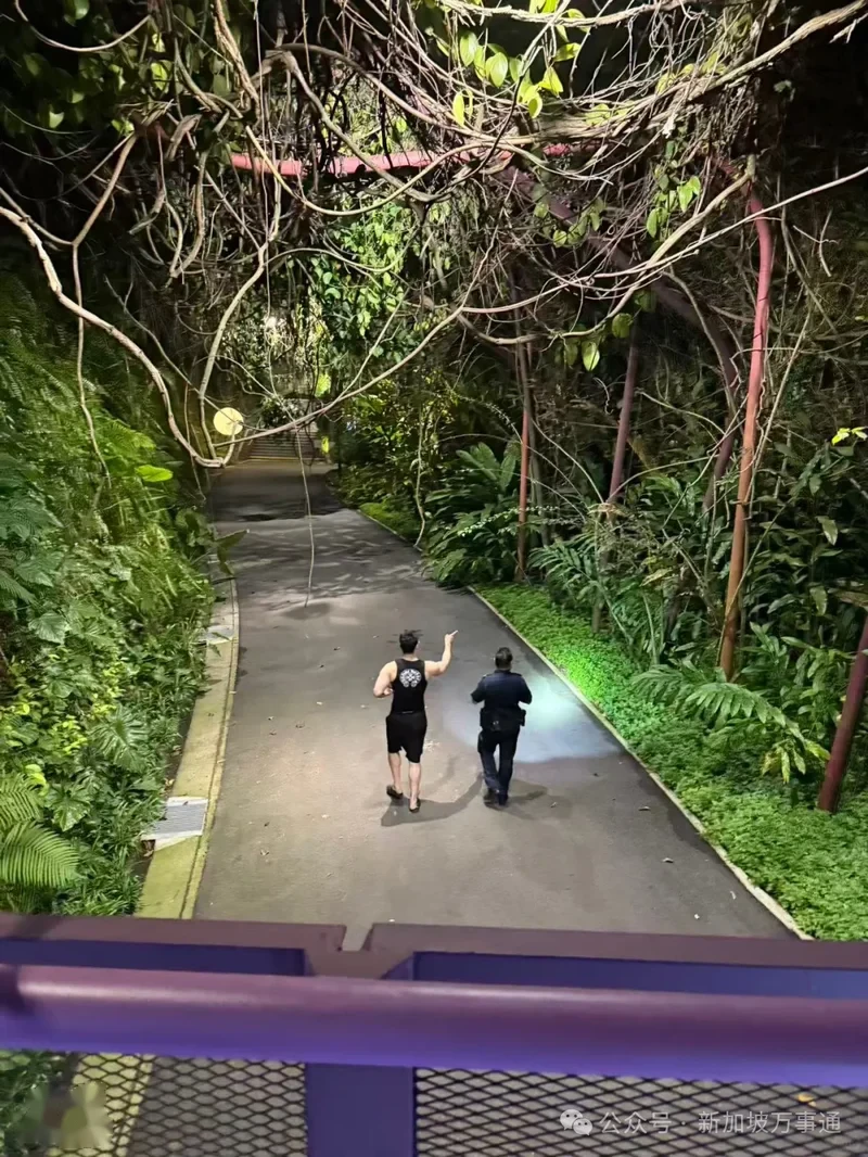 中国帅哥新加坡旅游 LV包包被偷 损失近万...
