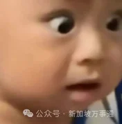 中国帅哥新加坡旅游 LV包包被偷 损失近万...