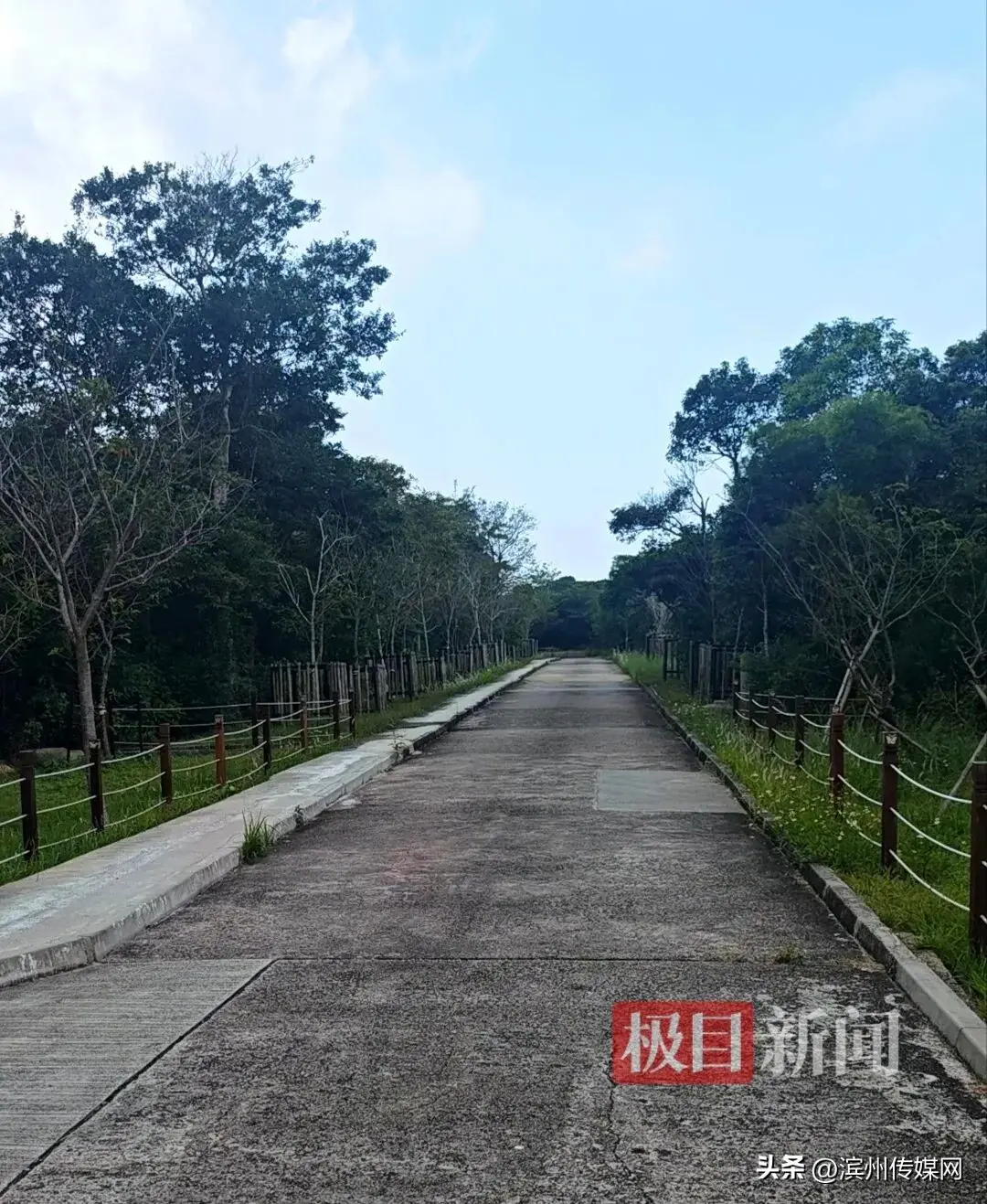梅艳芳骨灰安放处连僧人也不知道，周围设有多个监控摄像头