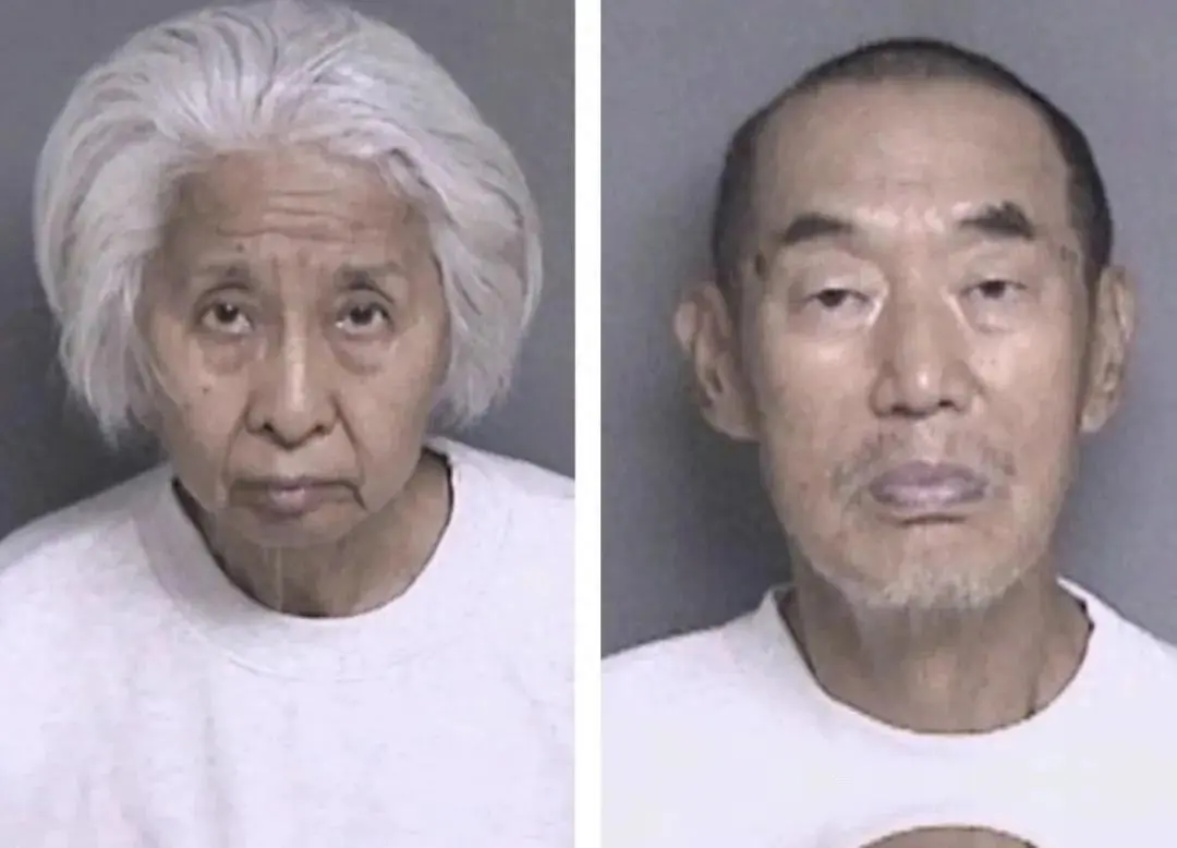 华裔岳父母杀女婿案大反转！陌生人捐精男方代孕