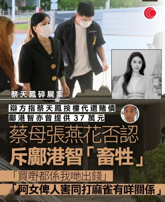 蔡天凤案庭审，三辩方律师围攻蔡母赌博
