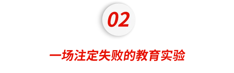 全美痛骂!网红作家拿女儿做教育实验 把哈佛苗子送进垃圾学校