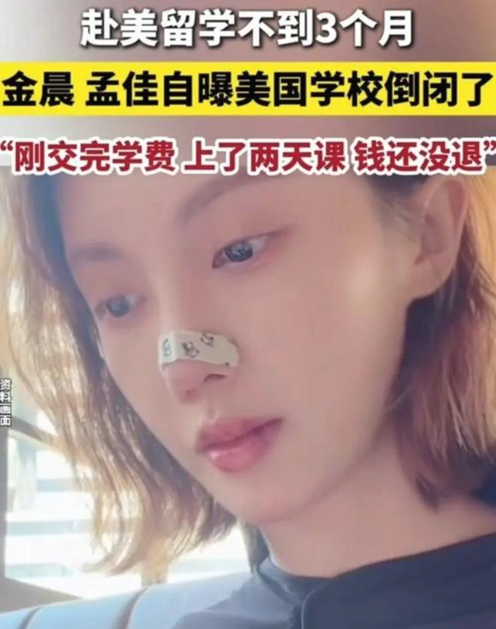 金晨赴美游学学校倒闭内幕曝光，就是个语言培训班