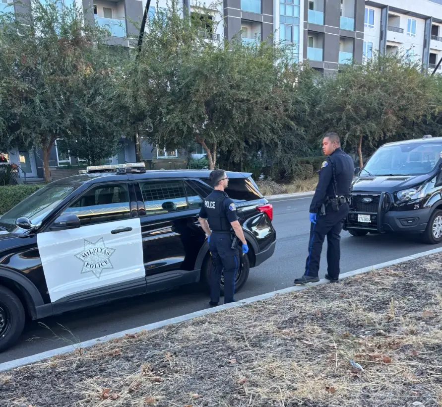 老人赴美探亲，撞桥墩“养生”惊动两辆警车！