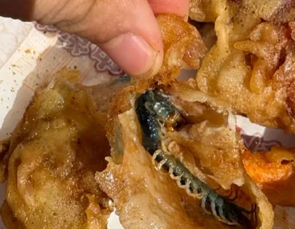 炸鸡吃出一整条蜈蚣 包裹在炸物内部