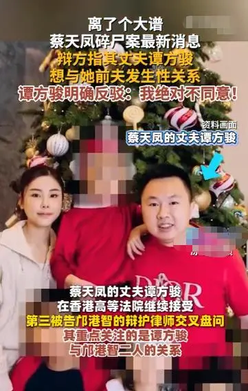 蔡天凤案再曝猛料！现任丈夫想和前夫发生关系,承认500万赌款输光