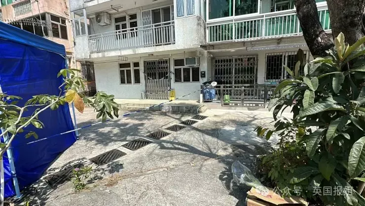 名媛蔡天凤前公公骂她生仔机器！三家关系远比想象复杂
