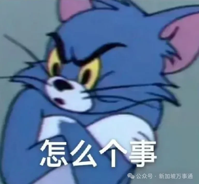 网友吐槽：新加坡相当于中国二线城市