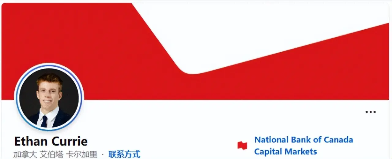 加拿大专家：与中国无关，就是我们干的