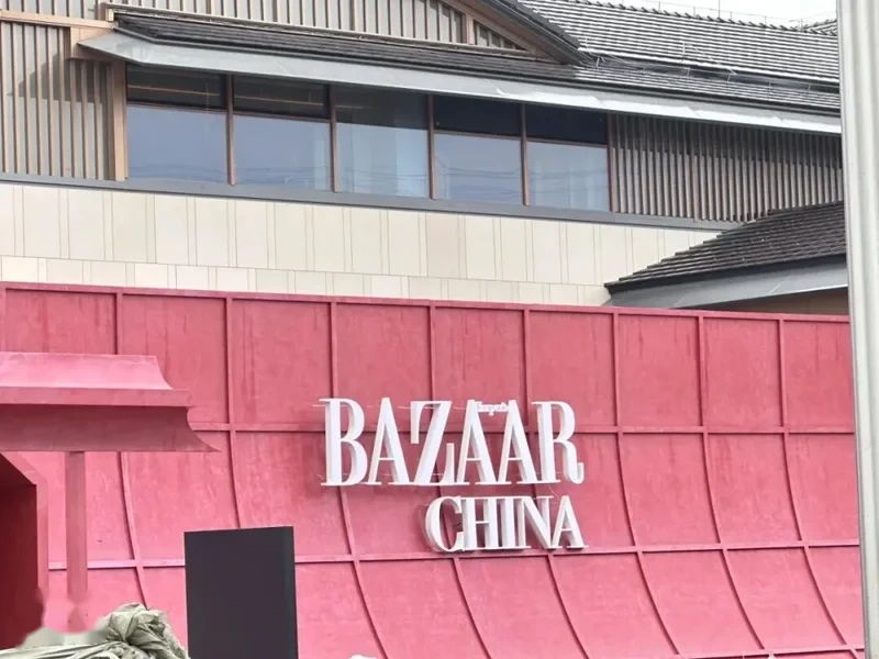 和赵露思撞衫后 她被骂了12个小时